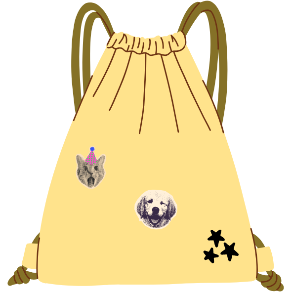 Bolsa tipo morral